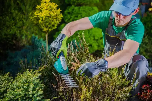 landscaping services East Liverpool